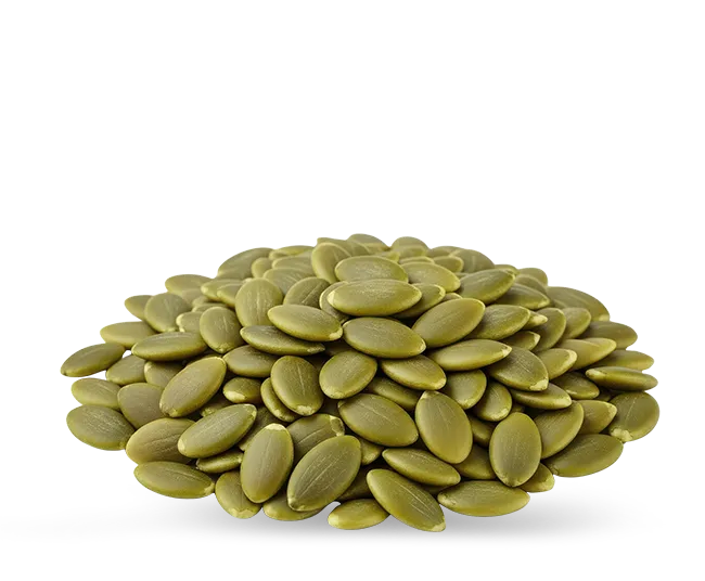 Pumpkin Seed